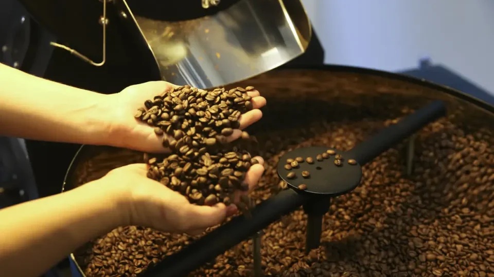 Produtos do Brasil mais beneficiados são café, carne e laranja