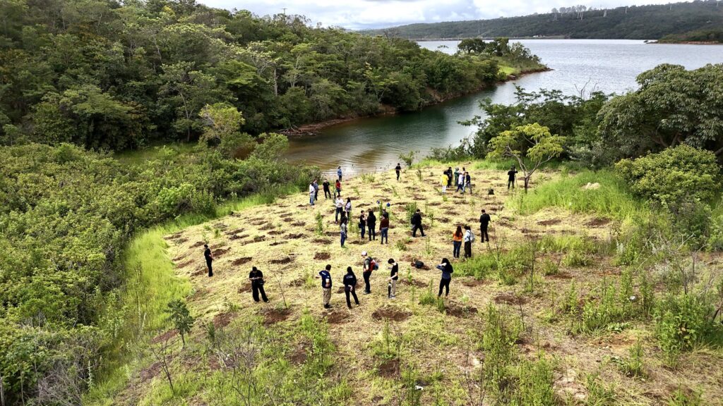 Justiça do DF proíbe uso de área ambiental para socorrer BRB
