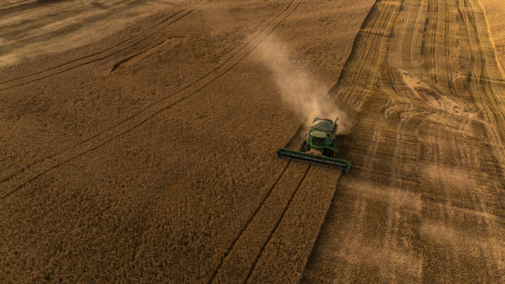 Produção de cevada cresce no Brasil, mas indústria liga alerta