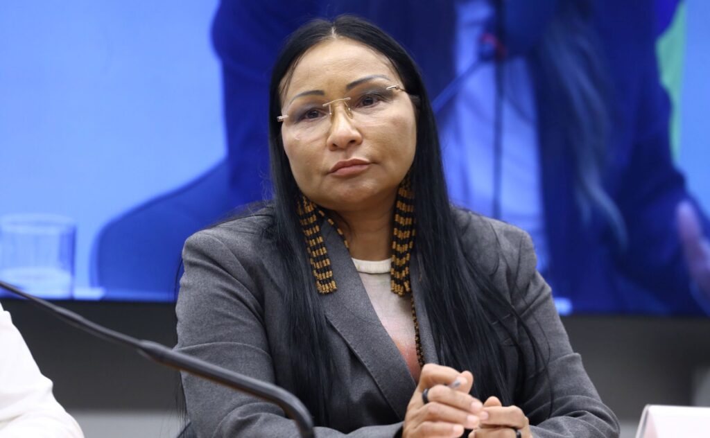 Por unanimidade, TSE mantém cassação de Silvia Waiãpi